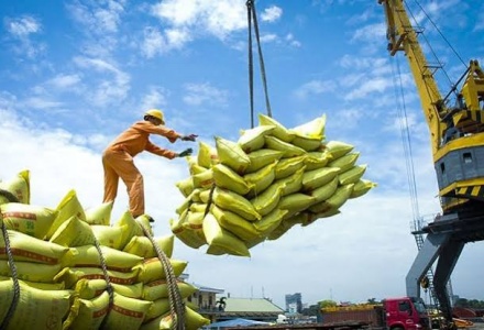 Điều kiện kinh doanh xuất khẩu gạo