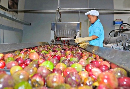 EU siết chặt quy định môi trường, doanh nghiệp Việt cần chủ động thích ứng