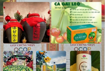 Xây dựng thương hiệu, mở rộng thị trường và gia tăng giá trị sản phẩm OCOP