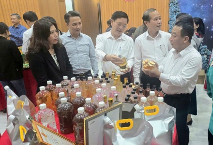 Nghệ An cho ý kiến về tiêu chí nông thôn mới và phát triển sản phẩm OCOP