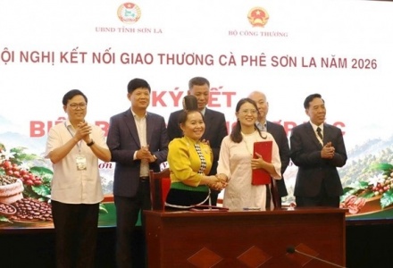 Kết nối giao thương, đưa cà phê Sơn La chinh phục thị trường quốc tế