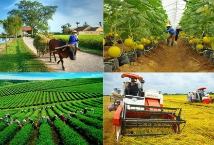 Quy định mới nhất về cơ chế phát triển sản xuất liên kết theo chuỗi giá trị