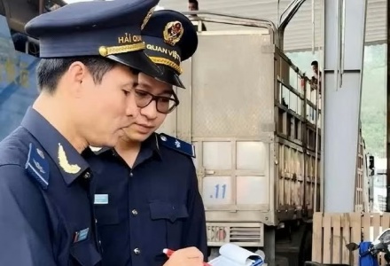 Hải quan kiến nghị tháo gỡ vướng mắc đối với urê nhập khẩu