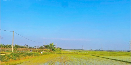 HTX Dịch vụ sản xuất và Kinh doanh tổng hợp Hòa Tiến 1: “Bà đỡ” phát triển kinh tế hộ thành viên