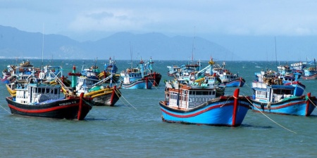 Tập trung triển khai Hệ thống eCDT: Giải pháp then chốt để gỡ “thẻ vàng” IUU