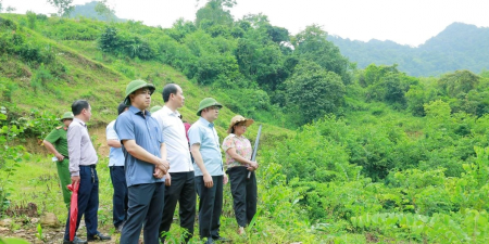 Thanh Hóa: Nước suối Xủ chuyển màu bất thường, địa phương đề nghị xác định nguyên nhân 