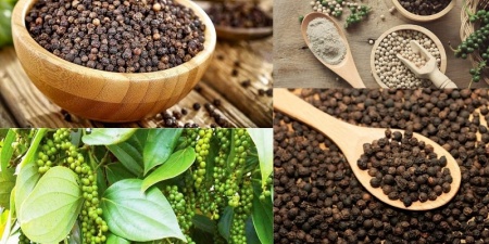 Ngành tiêu tăng tốc xuất khẩu và bài toán giữ thị phần