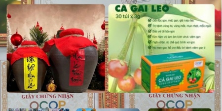 Xây dựng thương hiệu, mở rộng thị trường và gia tăng giá trị sản phẩm OCOP