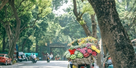 Dự báo thời tiết hôm nay 19/10: Bắc Bộ nắng hanh, có nơi trên 34 độ C