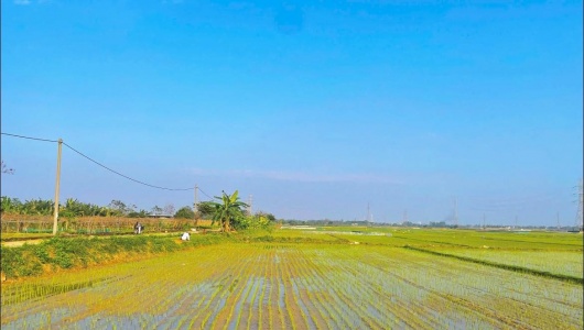 HTX Dịch vụ sản xuất và Kinh doanh tổng hợp Hòa Tiến 1: “Bà đỡ” phát triển kinh tế hộ thành viên