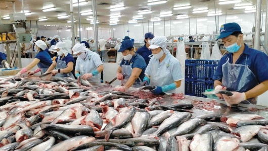 Xuất khẩu thủy sản có thể lập kỷ lục mới trong năm 2025