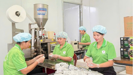 HTX Nông nghiệp hữu cơ Hồng Phát: Động lực phát triển kinh tế nông thôn ở Tuyên Quang