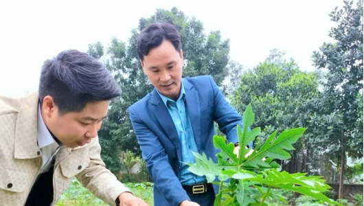 HTX Nông nghiệp thực phẩm Thanh Lâm Phú Thọ: Chuyển dịch cơ cấu kinh tế nông thôn, tạo sinh kế bền vững cho người dân