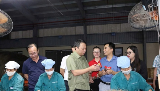 Hợp tác xã Miến Việt Cường: Mô hình HTX điển hình thúc đẩy kinh tế từ sản phẩm truyền thống ở Thái Nguyên