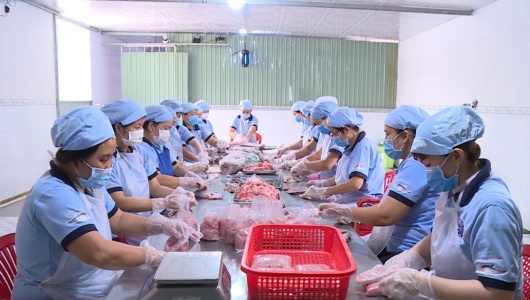 HTX Kỳ Như: Khẳng định vai trò kinh tế tập thể trong thời kỳ mới ở Cần Thơ