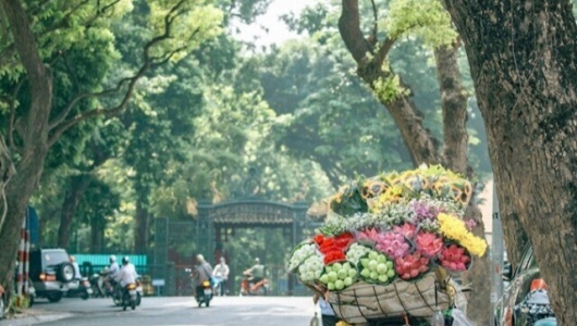 Dự báo thời tiết ngày 19/12: Bắc Bộ rét về đêm và sáng sớm, trưa chiều nắng ấm