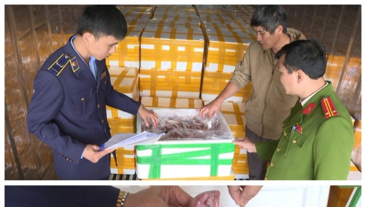 Thu giữ hơn 10 tấn cá khoai chứa chất Formol nguy hại đến sức khỏe người tiêu dùng