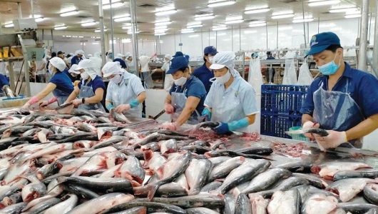 Xuất khẩu thủy sản Việt Nam lần đầu vượt mốc lịch sử 11 tỷ USD