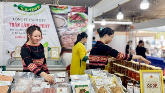 Gia Lai: Thúc đẩy quảng bá và tiêu thụ sản phẩm đặc trưng, tiềm năng 