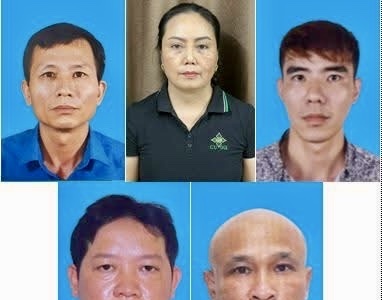 Hải Phòng: Khởi tố 9 đối tượng vận chuyển, mua bán hơn 130 tấn thịt lợn nhiễm dịch