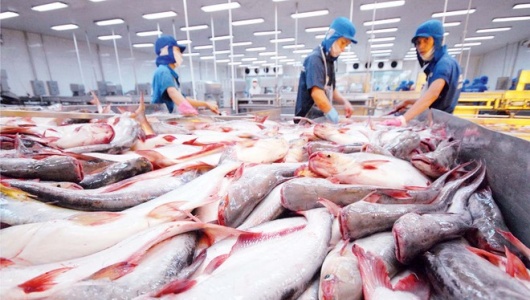 Năm 2026, ngành thủy sản hướng tới mục tiêu xuất khẩu 11,5 tỷ USD