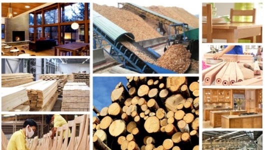 Xuất khẩu gỗ cán mốc 17,2 tỷ USD, đồ gỗ nội thất tiếp tục là 'trụ cột'