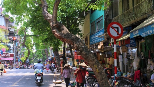 Dự báo thời tiết ngày 14/1: Bắc Bộ nắng hanh, rét về đêm và sáng sớm