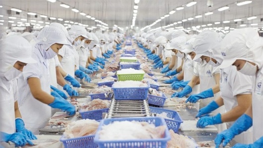 Top 10 doanh nghiệp xuất khẩu thủy sản lớn nhất năm 2025