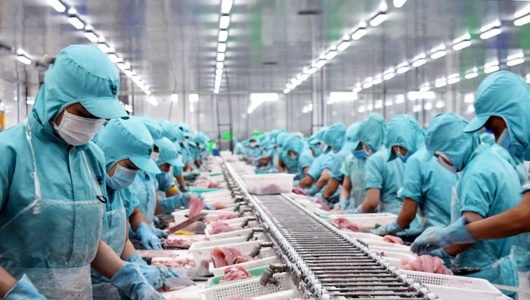 Xuất khẩu thủy sản Việt Nam bước vào giai đoạn mới