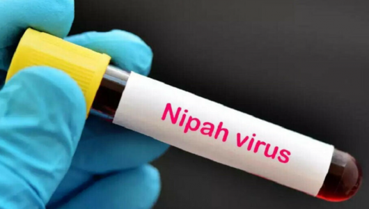 Bộ Y tế yêu cầu cách ly nghiêm ngặt các trường hợp nghi ngờ mắc virus Nipah