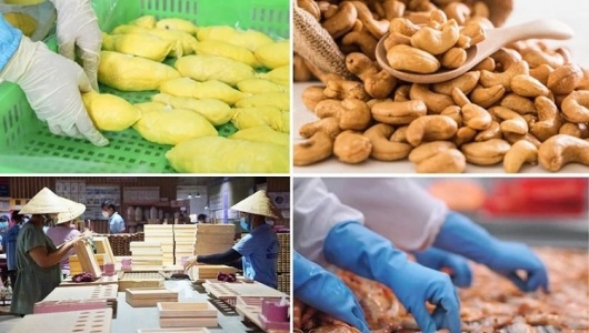 Ngành Nông nghiệp và Môi trường đặt mục tiêu xuất khẩu 74 tỷ USD trong năm 2026