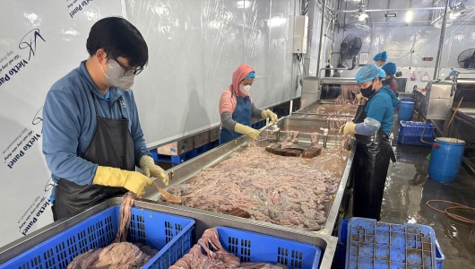 Thu giữ gần 60 tấn lòng lợn đổi màu, bốc mùi hôi thối ở Hà Nội