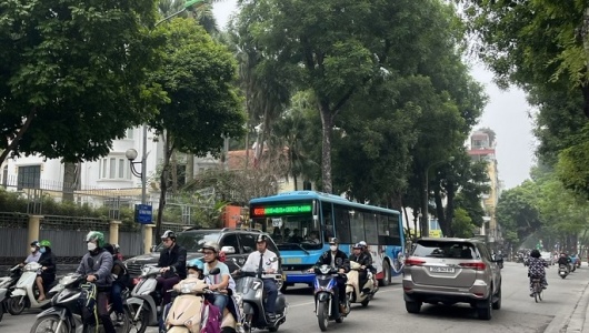 Dự báo thời tiết ngày 3/2: Bắc Bộ và Bắc Trung Bộ có sương mù nhẹ, trời rét