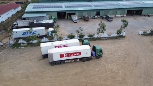 Hải quan triển khai trực 24/7: Ưu tiên thông quan thực phẩm nhập khẩu dịp cao điểm cuối năm