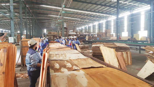 Hoa Kỳ công bố kết luận sơ bộ thuế chống trợ cấp với gỗ dán Việt Nam