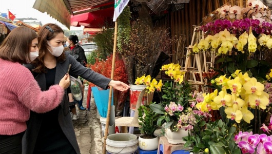 Dự báo thời tiết ngày 14/2: Bắc Bộ sáng sớm có sương mù nhẹ rải rác, mưa nhỏ vài nơi