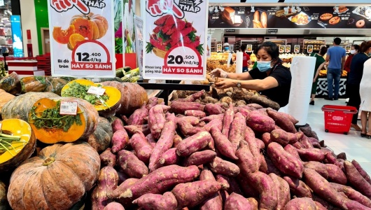 Người Nhật chi hơn 6.000 tỷ đồng mua rau quả Việt: Hoa cúc, chuối và khoai lang chiếm ưu thế