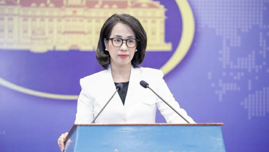 Việt Nam phản đối các hành vi sử dụng vũ lực tấn công vào các quốc gia có chủ quyền