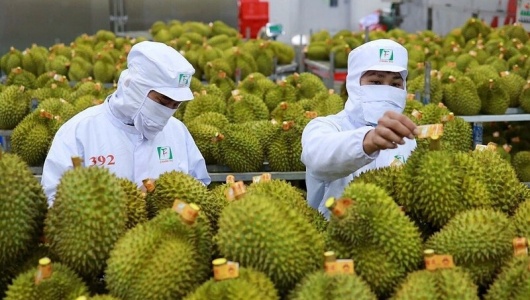 Nông lâm thủy sản tăng tốc ngay đầu năm, củng cố mục tiêu 75 tỷ USD