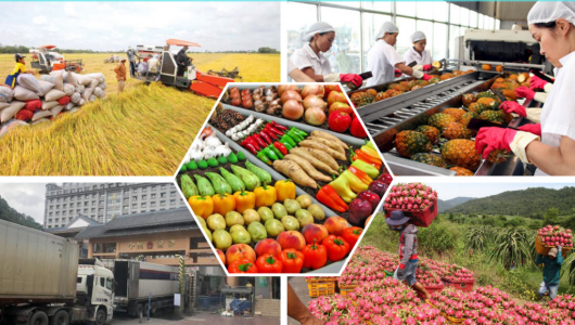 Xuất khẩu nông lâm thủy sản bứt phá trong 2 tháng đầu năm 2026