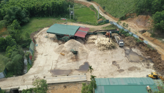Hoá Quỳ (Thanh Hoá): Yêu cầu cơ sở chế biến gỗ vi phạm dừng hoạt động
