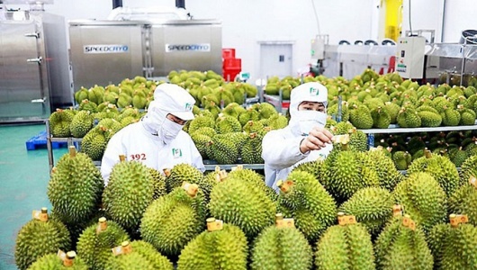 Xuất khẩu gạo và rau quả sang Trung Quốc tăng trưởng kỷ lục