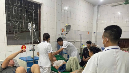 Nghệ An: Ăn rau rừng lạ, 3 người trong một gia đình nhập viện cấp cứu