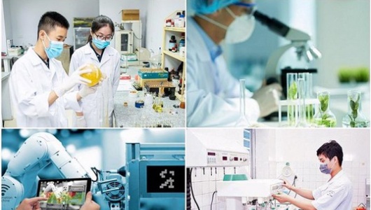 Lần đầu tiên Việt Nam có Nghị quyết về Chiến lược quốc gia về khởi nghiệp sáng tạo