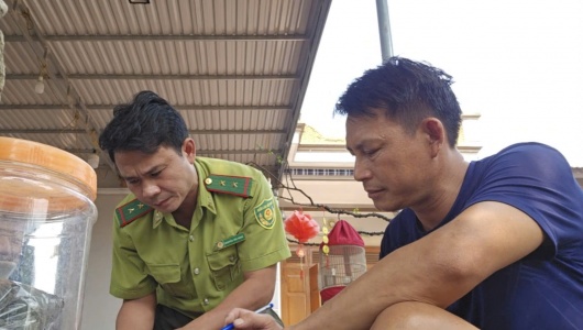 Thanh Hóa: Thu giữ 23 cây muội hồng không rõ nguồn gốc tại nhà dân