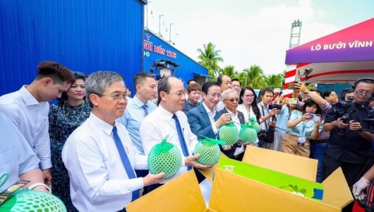 Việt Nam xuất khẩu chính ngạch lô bưởi da xanh đầu tiên sang Australia