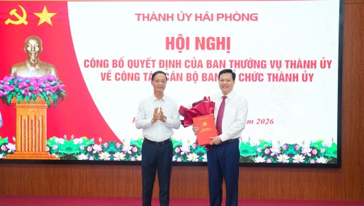 Chánh Văn phòng UBND TP. Hải Phòng làm Phó Trưởng Ban Tổ chức Thành ủy