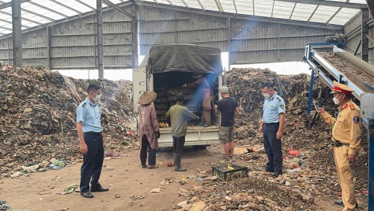 Quảng Ninh tiêu hủy gần 3 tấn lòng lợn bốc mùi và hơn 13.000 gia cầm lậu