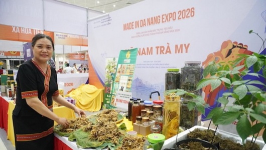 Nâng tầm thương hiệu đặc sản vùng miền và khát vọng vươn tầm quốc tế