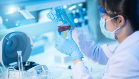 Đưa công nghệ sinh học trở thành ngành kinh tế - kỹ thuật mũi nhọn của đất nước